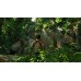 Uncharted Drakes Fortune Remastered (PS4, русская версия)